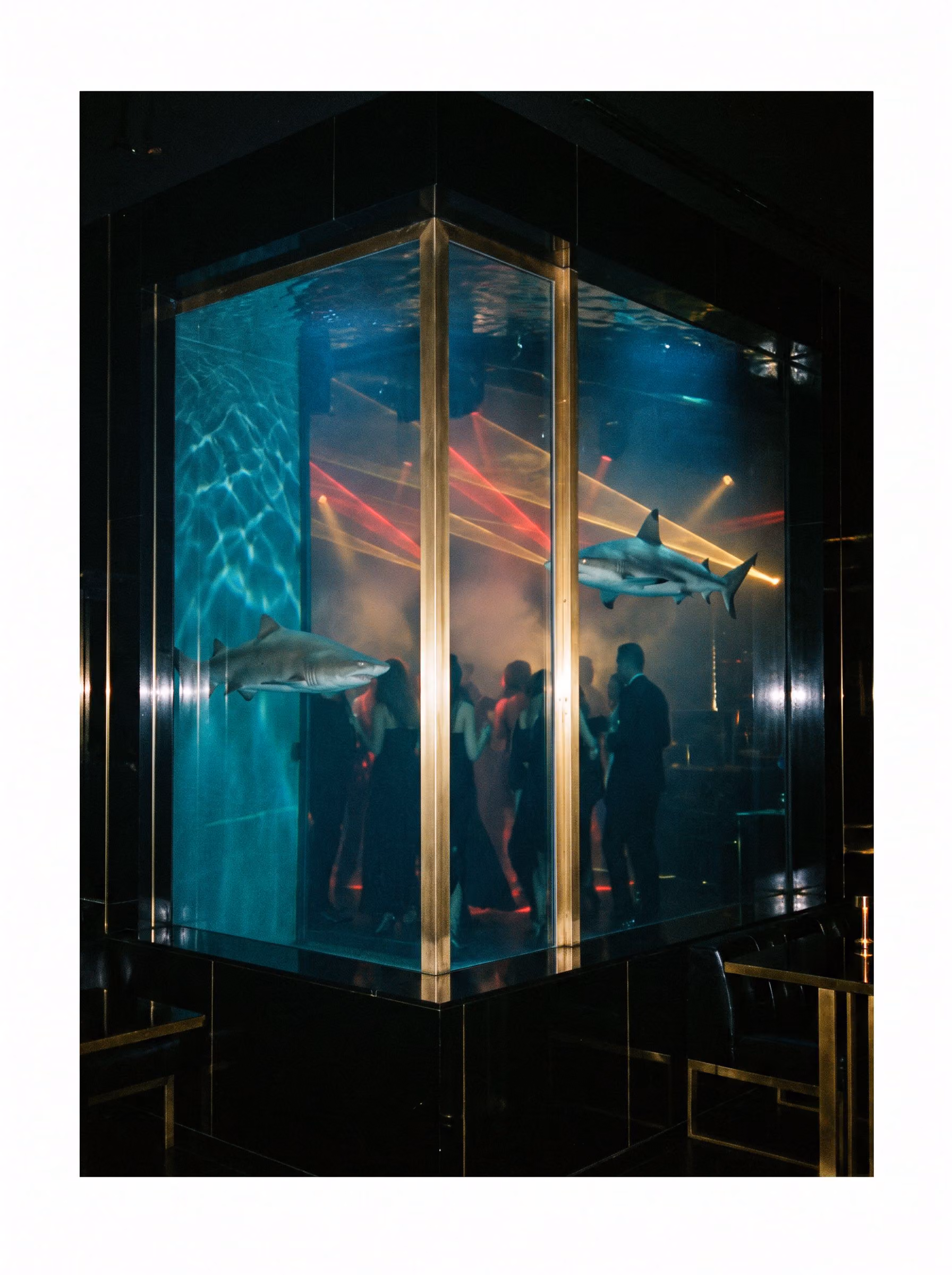 The glass-cube dance floor inside the aquarium