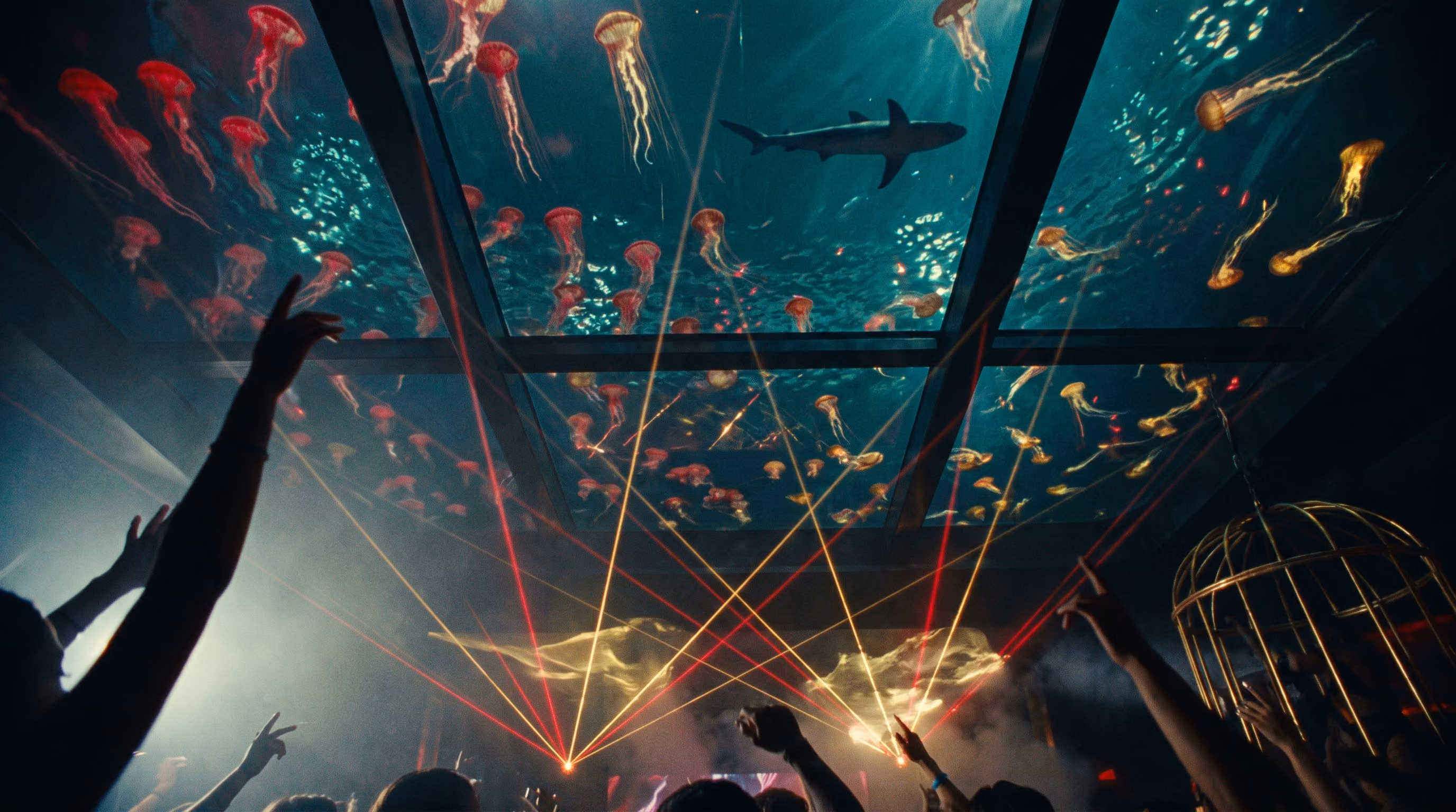 Looking up through the glass ceiling at drifting red and gold jellyfish
