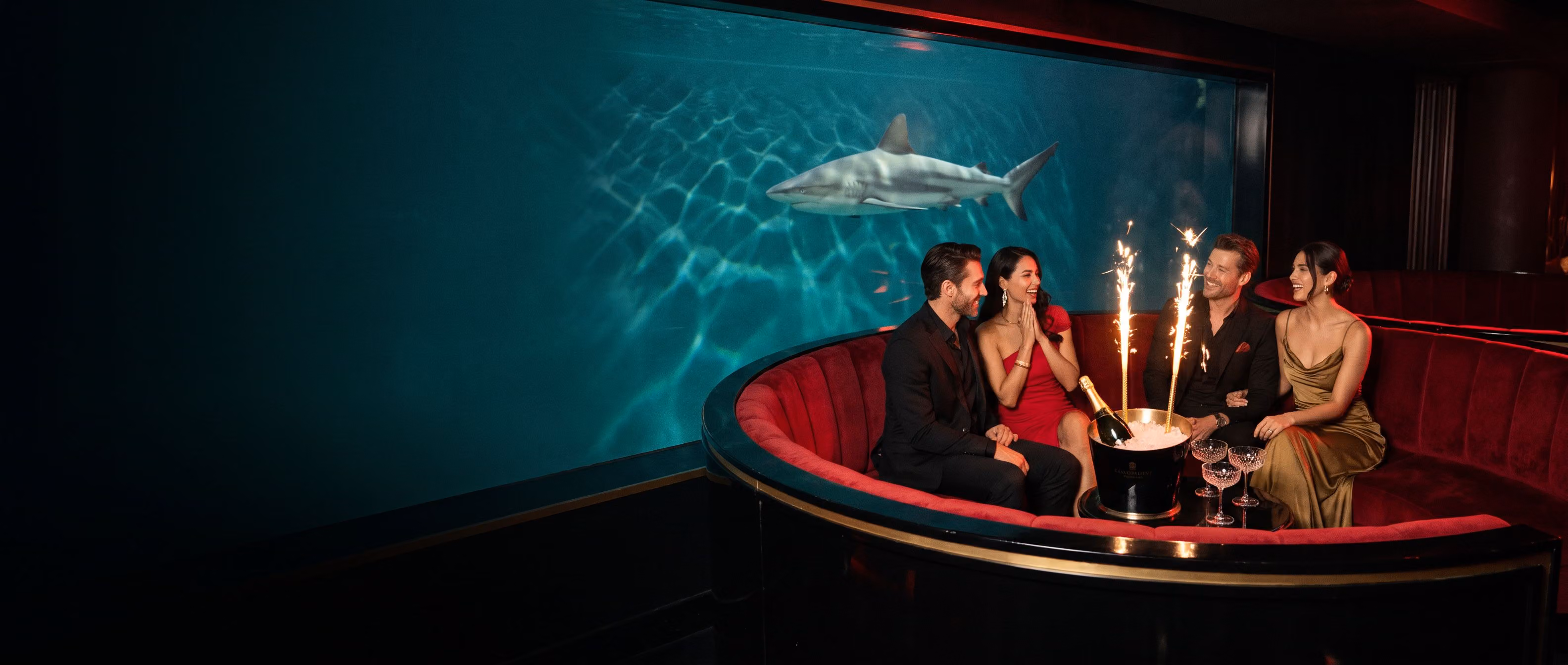The Shark Wall VIP booth with sparklers fizzing as a reef shark glides past the aquarium glass