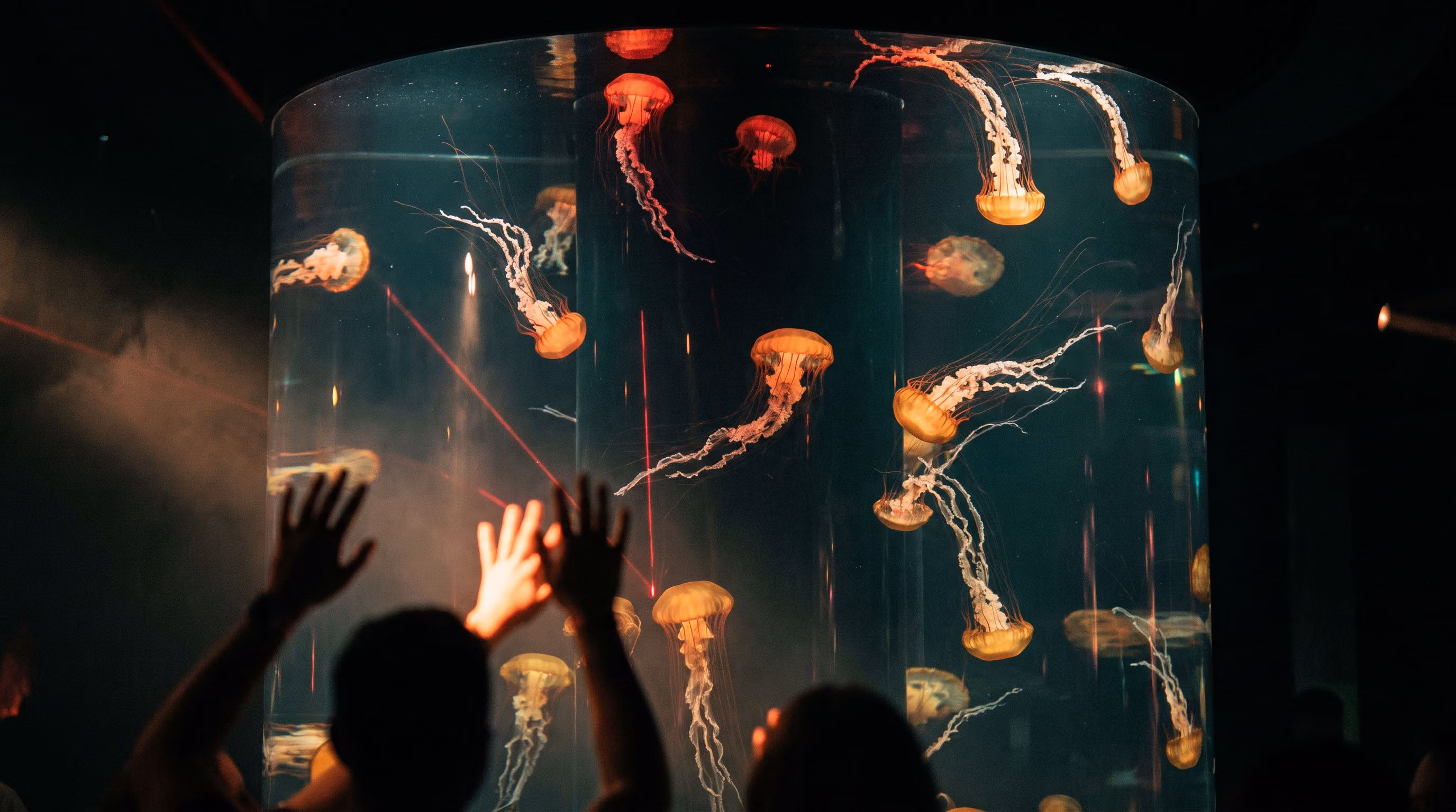 Red and gold glowing jellyfish in the Jellyfish Wall with dancers' raised hands silhouetted in front