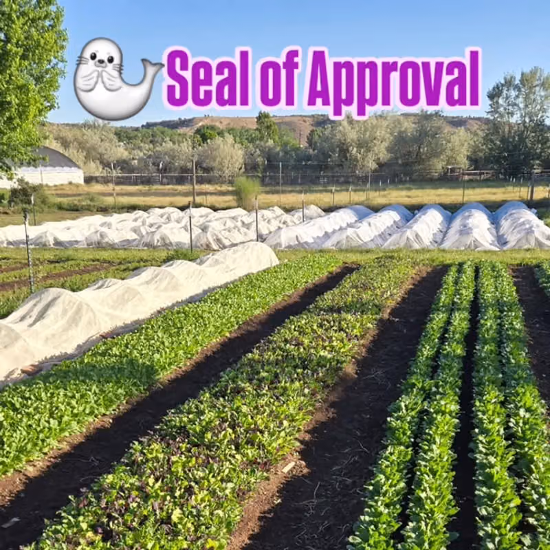 Instagram post from @tabletofarmcompost