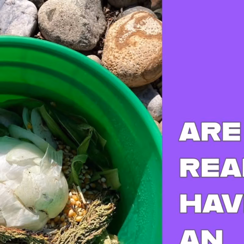 Instagram post from @tabletofarmcompost